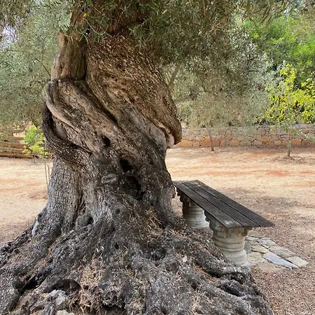 Adamah Vayu -casa Serenida Loule