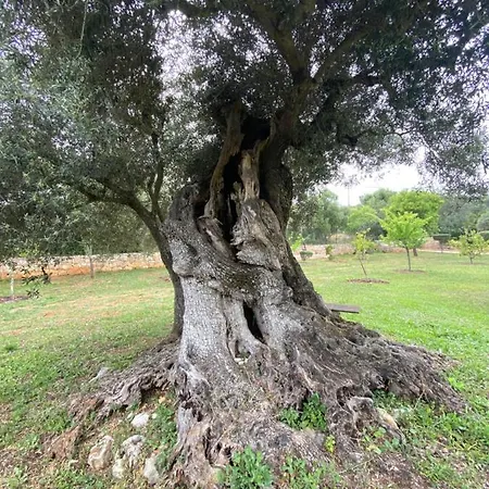 Adamah Vayu -casa Serenida * Loule